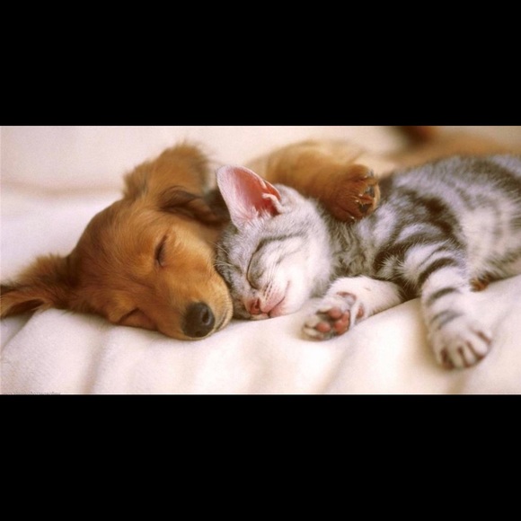 HAPPY THANKSGIVING 🍁🦃 - Picture 3 of 3